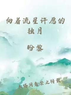 向著流星許愿的獨月