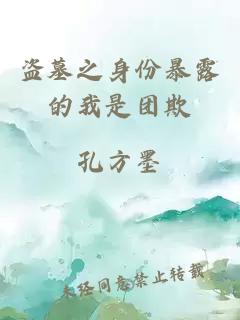 盜墓之身份暴露的我是團(tuán)欺