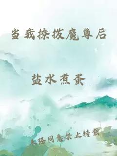 當我撩撥魔尊后